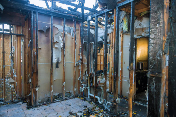 Professional Fire Damage Assessment technician working in Brookville, NY